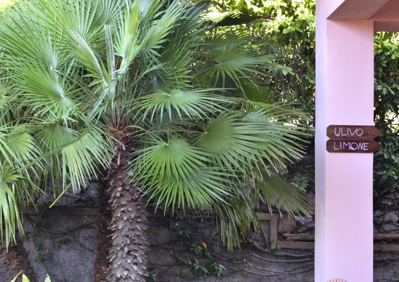 Villa Fiore Apartments Portoferraio Εξωτερικό φωτογραφία